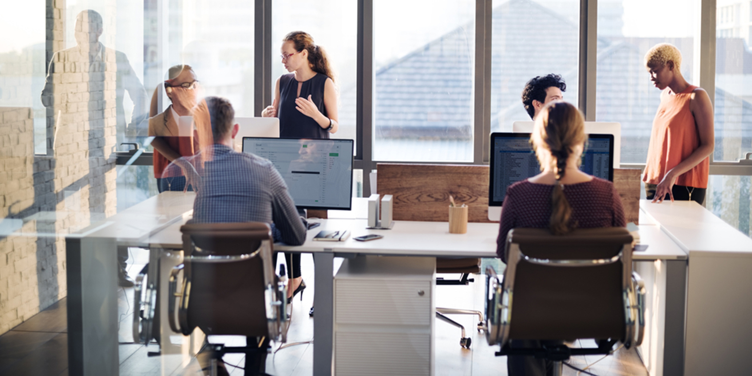 6 peple in an office with computers